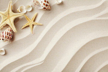 Fototapeta na wymiar seashells and beach sand texture. summer background with copy space