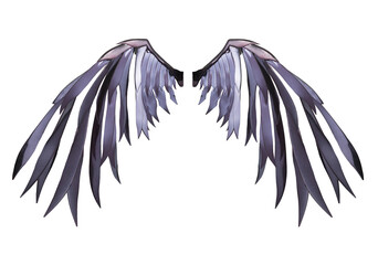 Devil wing plumage isolated on white background with clipping path