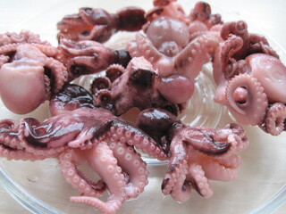 Beautiful view of octopus canned goods  on a plate. Fresh raw tuna salad in a bowl. Scenic little...