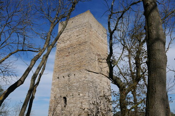 Burgturm  Sachsenburg im Wald