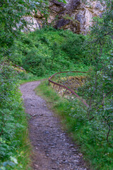 Smal hiking road in the forest of Flodalen.
