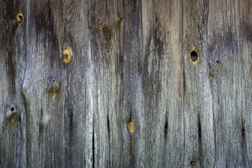 creative grunge wood background from old planed gray knotty planks of the outer wall of an ancient barn