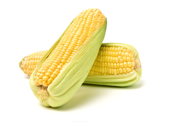 Corn on a white background 