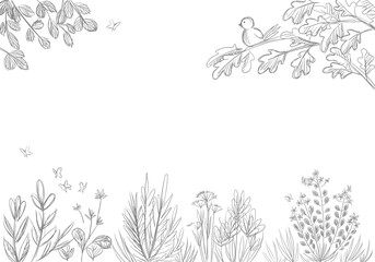 Fototapeta na wymiar Herbal sketch with cute bird drawing