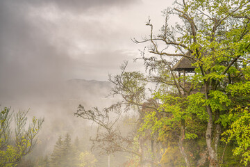 Obraz na płótnie Canvas Cabin in the northern Black Forest on a foggy spring day