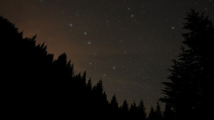 Ursa Major constellation seen above a coniferous forest in the night sky. Star watching can be a...