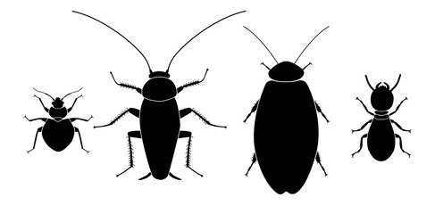 Vector collection of 4 insects silhouettes. The bedbug, the cockroach, the giant cave cockroach, termite. Minimal graphic illustration. - obrazy, fototapety, plakaty