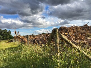 old fence in field