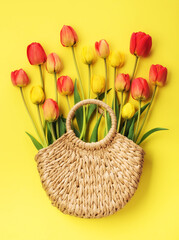 Beautiful flowers tulips in a basket on a yellow background, top view