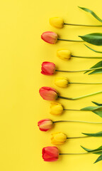Beautiful flowers tulips on a yellow background, top view with copy space...Spring or summer floral background with copy space.