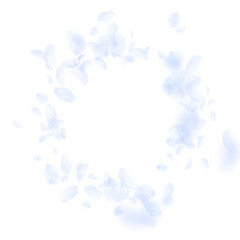 Light blue flower petals falling down. Exotic roma