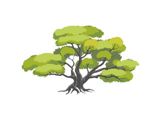 Obraz premium oak tree vector illustration, tree of life