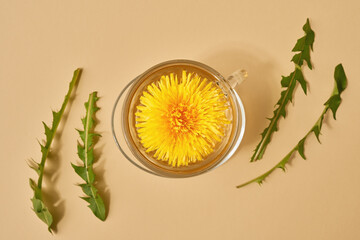 A cup of dandelion tea with fresh dandelion leaves and flowers, top view