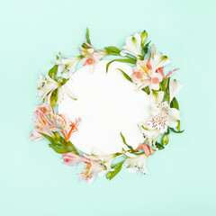 Beautiful composition with alstroemeria flowers lying in round shape on pastel background. Nature concept. Top view. Flat lay