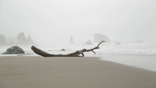 Treibholz am Sandstrand. Bedeckter Himmel. Die K&uuml;ste Oregons (engl. Oregon Coast) ist der geographische Begriff f&uuml;r die K&uuml;ste des US-Bundesstaates Oregon am pazifischen Ozean (Pazifikk&uuml;ste).