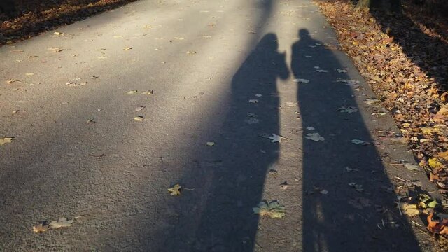 ombre sulla strada nel parco al tramonto