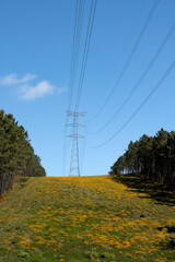 power lines in the mountains with firebreaks
