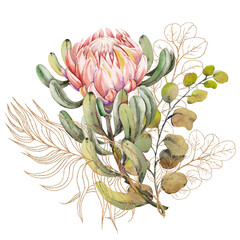 Exotic protea flower bouquet on white background. - obrazy, fototapety, plakaty