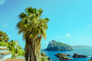 Ischia ponte in the background Castello Aragonese