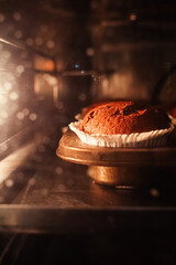 Close-up of muffins in the oven. The job of a pastry chef. Cooking a chocolate cupcake.