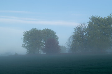Obraz na płótnie Canvas Foggy meadow landscape in Groesbeek