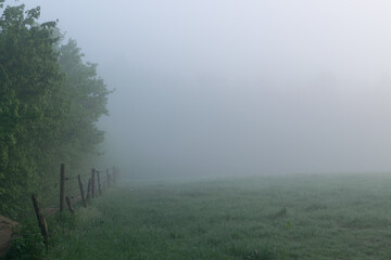 Obraz na płótnie Canvas Path in a fogy landscape near the village of Groesbeek, the Netherlands