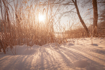 Winterlandschaft bei Frost
