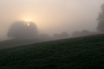 Sunrise at foggy morning in holland