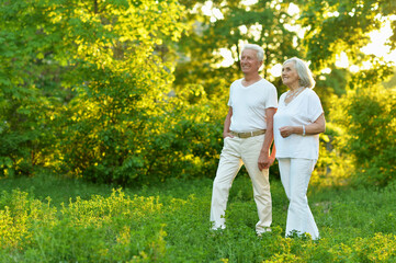 beautiful caucasian senior couple  in the park