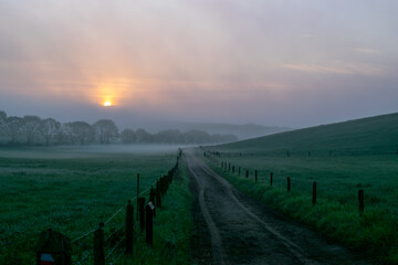 Fototapeta premium Foggy morning sunrise at a Dutch meadow