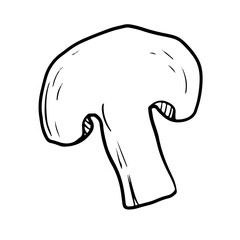 Doodle style champignon mushroom on isolated white background. Forest edible mushroom. Vector illustration.