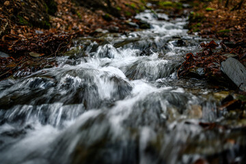 Wasser