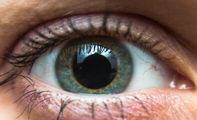 macro photo of a wide-open one human eye, eyeball with dilated pupil and reflection on its surface,...