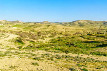 Fototapeta na wymiar Rural landscape of the Yatir region