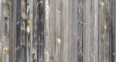 background from old gray boards with yellow stripes and spots