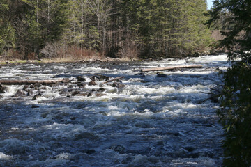 Algonquin Provincial park scenery in spring including rapids, beaver ponds and rocky trails
