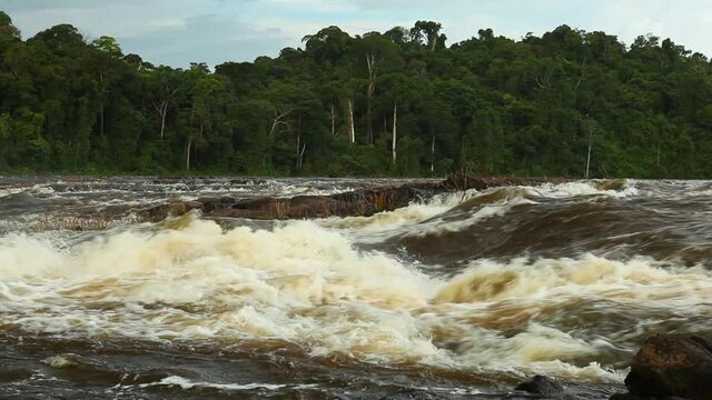Large river rapids in Surinamese jungle
