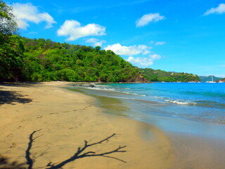 Costa Rica Pacific sea life