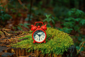 Small red alarm clock on a forest stump. Alarm clock in the forest on the stump of an old fallen tree.