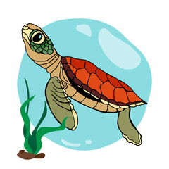 Colorful sea turtle drawn doodle with abstract shapes vector EPS10