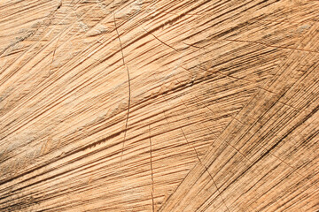 The texture of the sawn interior stump as a wooden billet for the future grnalny table.