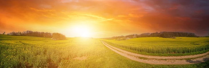Poster Im Rahmen Panorama der grünen Wiese mit Schotterweg und Sonnenuntergangshimmel. Ländlicher Landschaftssonnenaufgang des Sommers © luchschenF