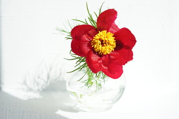 Obraz na płótnie Canvas Red peony flower in a vase on white sunny table