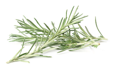 Fototapeta premium fresh curry plant leaves isolated on white background