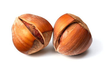 whole hazelnuts isolated on white background