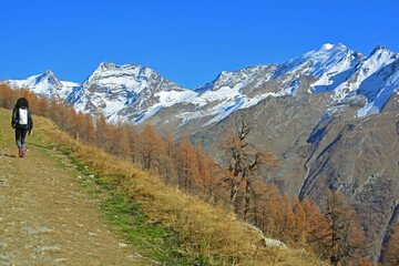 Hiking in the Mountains
