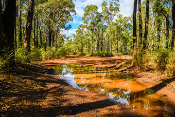 Logue Brook Dam, Lake Brockman