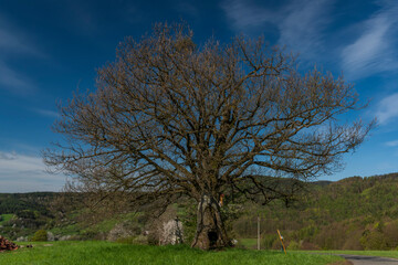 Meadows over Horni Lhota village in spring sunny fresh morning