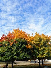 Naklejka premium autumn in the city