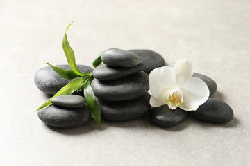 Fototapeta na wymiar Spa stones, beautiful orchid flower and bamboo sprout on light grey table